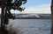 Late Spring in Yellowstone National Park: Peering Between the Trees Across Lewis Lake Near the South Entrance Road