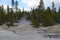 Late Spring in Yellowstone National Park: Steam Plume From Dr. Allen`s Paint Pots in the Back Basin Area of Norris Geyser Basin