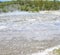 Late Spring in Yellowstone National Park: Steam Rolls off Oblong Geyser of the Giant Group in Upper Geyser Basin