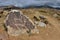 Late Stone Age art - ancient petroglyphs depicting deers,archaeological site near Cholpon Ata, Issyk-Kul lake shore, Kyrgyzstan