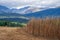 Late Summer - Mountain Meadow - Grass