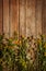 Late summer natural meadow flowers and plants on vintage wooden background