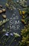 \'Late summer\' poster design. Meadow flowers and plants on black chalkboard.