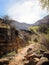 Late winter along the base of the Grand Canyon, on Angel`s Rest trail