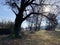 Late winter landscape with floodplain meadows, young pastures and mixed park forest on the Au peninsula, WÃ¤denswil Waedenswil