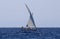 Lateen sailing watercraft in palma de mallorca bay