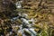 Later Afternoon Shadows over a Wild Mountain Trout Stream