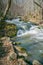 A Later Winter View Roaring Run Creek