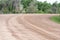 Laterite road in forest