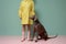 latex dog animal concept pet stylish art funny fashion colourful. Generative AI.