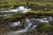 Lathkill River with mossy boulders and branches