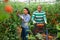 Latin american farm family gathering crop of tomatoes in hothouse