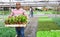 Latin american farmer carrying tray with chard seedlings