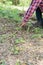 Latin farmer checking dirt in field