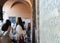 Latin inscription engraved on the wall of the Church of Santa Maria in Cosmedin in Rome, Italy.