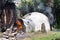 Latin man, Shaman, during shamanic, pre-Hispanic ritual, temazcal