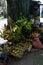 Latin street vending booth grocery market with vegetables and fruits in the street