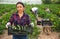 Latin woman helps man to harvest zucchini