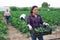 Latin woman helps man to harvest zucchini