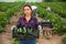 Latin woman helps man to harvest zucchini