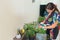 Latin Woman taking care of indoor plants. Indoor urban jungle. Watering and spraying with water