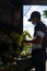 Latin worker men in street vending booth grocery market with vegetables and fruits in the street