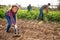 Latina woman tilling soil with hoe in garden