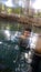 Latino adult man swims in crystal clear spring water of the Media Luna natural lagoon in the municipality