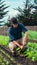 Latino farmer working in his vegetable garden, installing water sprinklers, plant-based