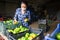 Latino woman in protective mask sorts green tomatoes in the backyard