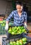 Latino woman sorts green tomatoes in the backyard