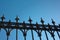 Lattice cast iron fence against the blue sky