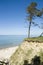 Latvia. Beach and pine on the steep coast of Baltic Sea