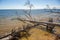 Latvia, cape Kolka, Gulf of Riga. The trees lie in water at the