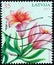 LATVIA - CIRCA 2012: A stamp printed in Latvia from the `Flowers - Painting by Lilija Dinere` issue shows Lilium, circa 2012.