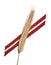 Latvia flag ribbon and wheat