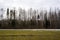 Latvia rural landscape in spring when the snow has melted and the meadows