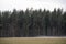 Latvia rural landscape in spring, when the snow has melted and the meadows