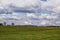 Latvian rural landscape where the green glows.a sings yellow dandelions