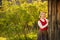 Latvian woman in traditional clothing. Ligo folk.