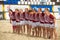 Latvian women`s national rugby team