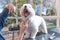 Laughing adorable white dog is groomed