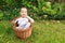 Laughing baby boy in wicked basket