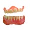 Laughing false teeth