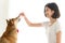 Laughing jocund young asian woman sitting on the floor playing with her Shiba Inu Japanese dog