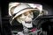 Laughing Skeleton with Safari Hat in a Car