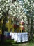 Laundered linens dried on the clothesline in the yard in the spring