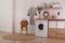 Laundry room interior with washing machine and stylish vessel sink on countertop