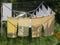 Laundry on a rotary dryer