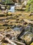 Laurel Run, Wild Mountain Trout Stream